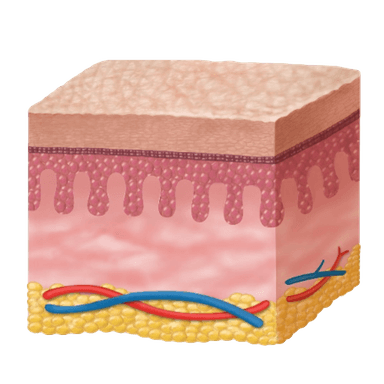 STEP. 3