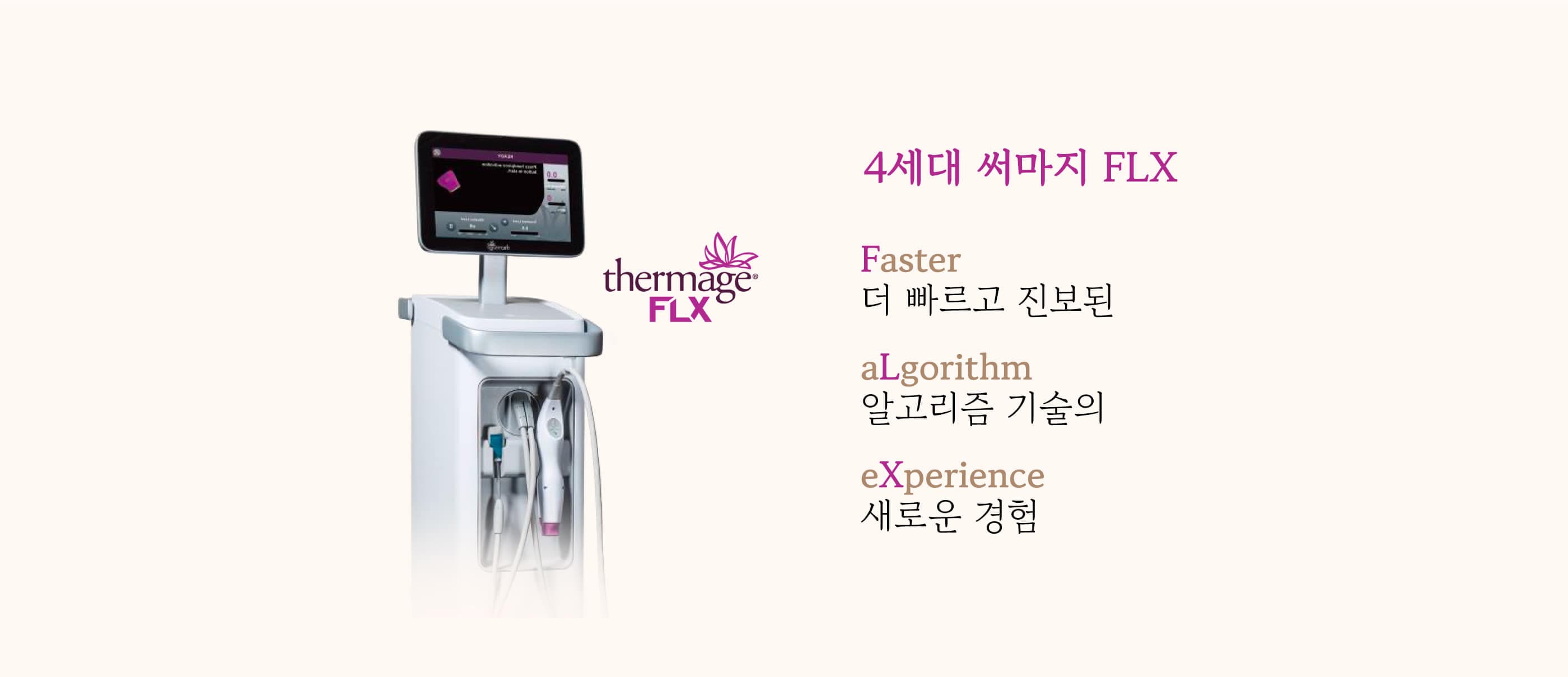 Program Image
